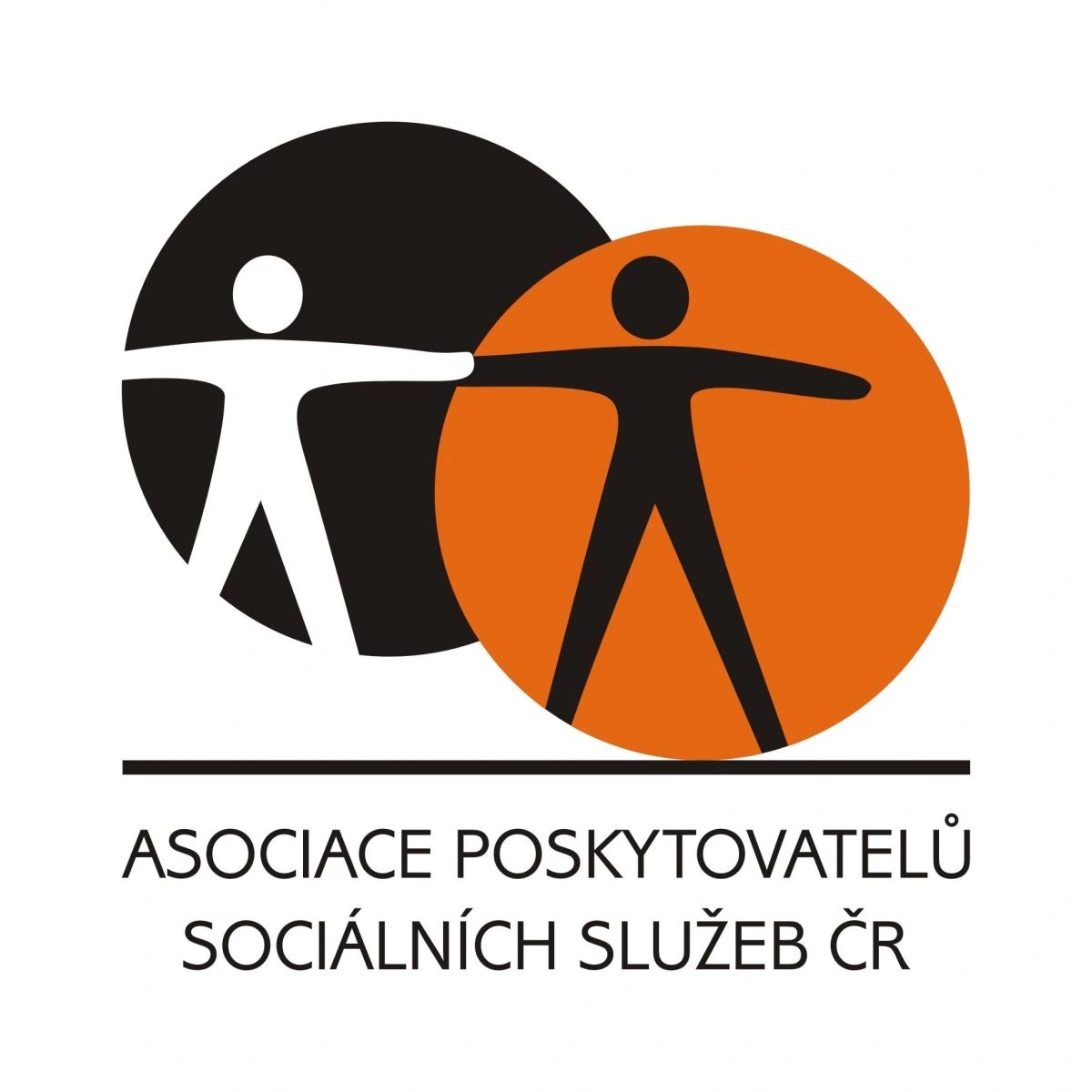 logo apss.jpg